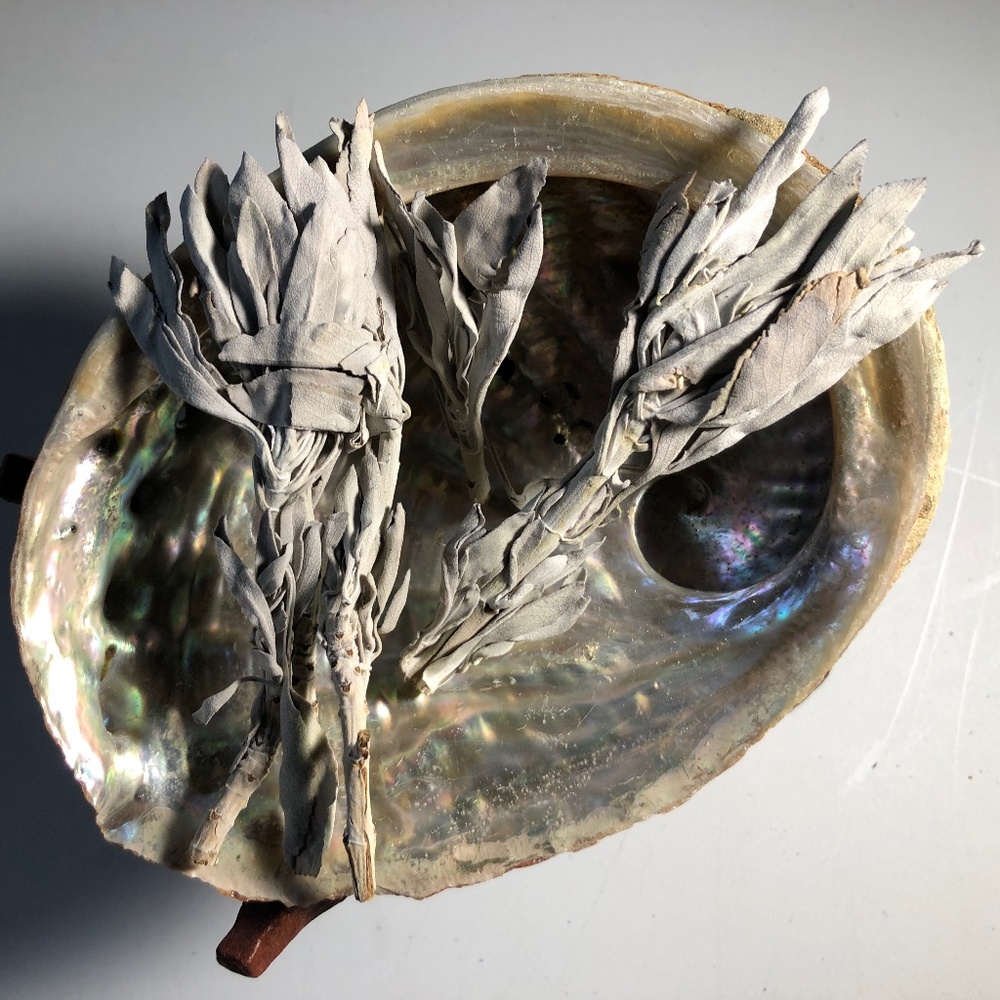 CALIFORNIA WHITE SAGE Sacred Cleansing Bulk Stems and Loose Leaves